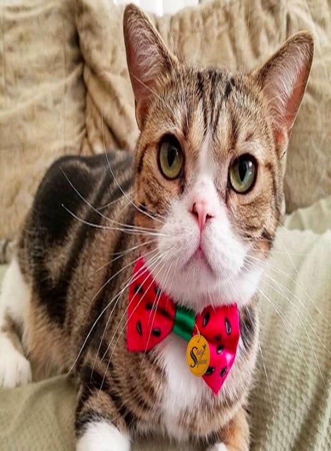 Sage Square Charming Cat Printed Bow Tie: Stylish, Comfortable, and Durable Accessory for Pet Owner & Cat Lovers - Perfect for Special Occasions, Photoshoots, Everyday Wear For Cat & Kitten(Pack Of 5) - Image 2